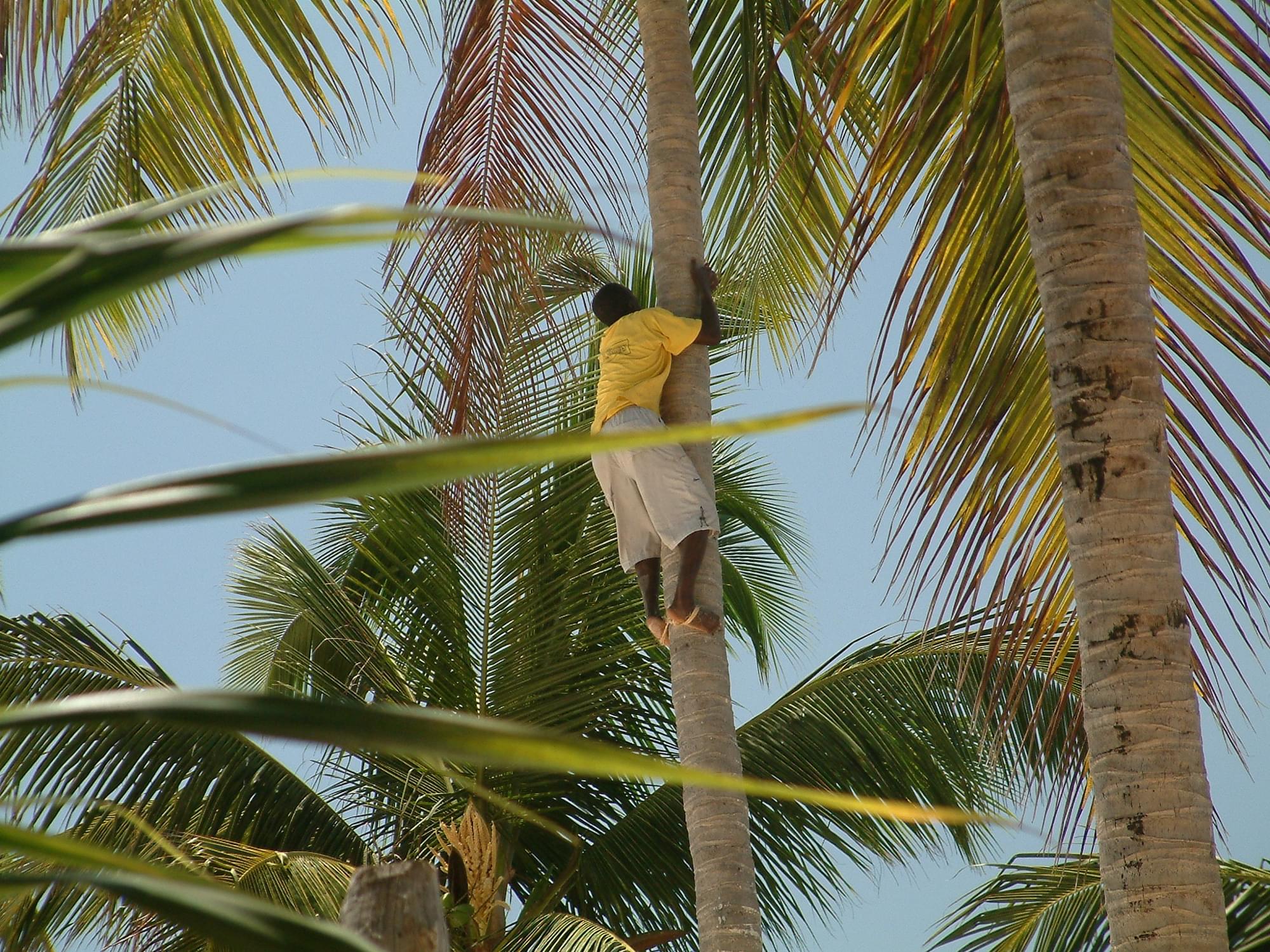 20040127   Zanzibar 180